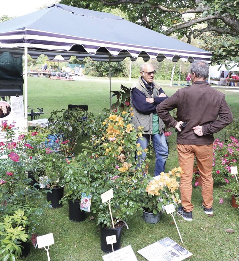 P14 Fete des fleurs 06 1