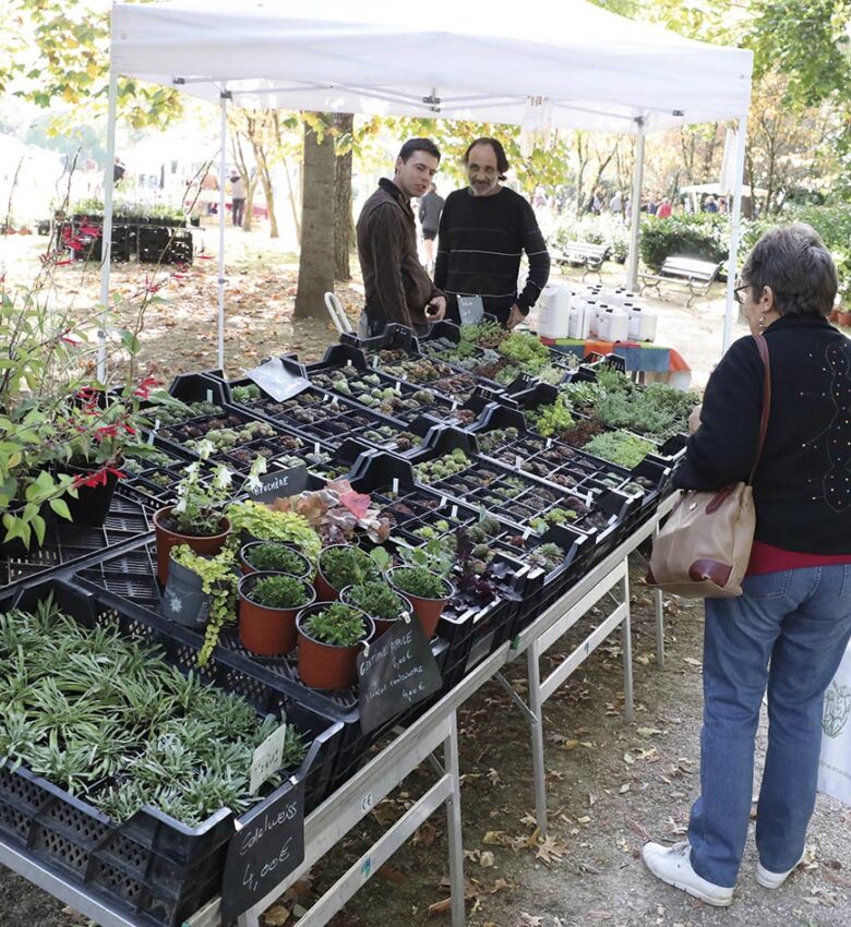 P14 Fete des fleurs 08 1