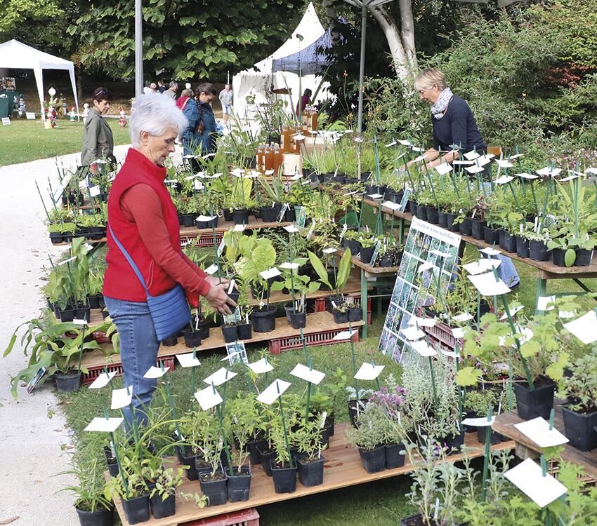 VIGNETTE 08 P14 Fete des fleurs