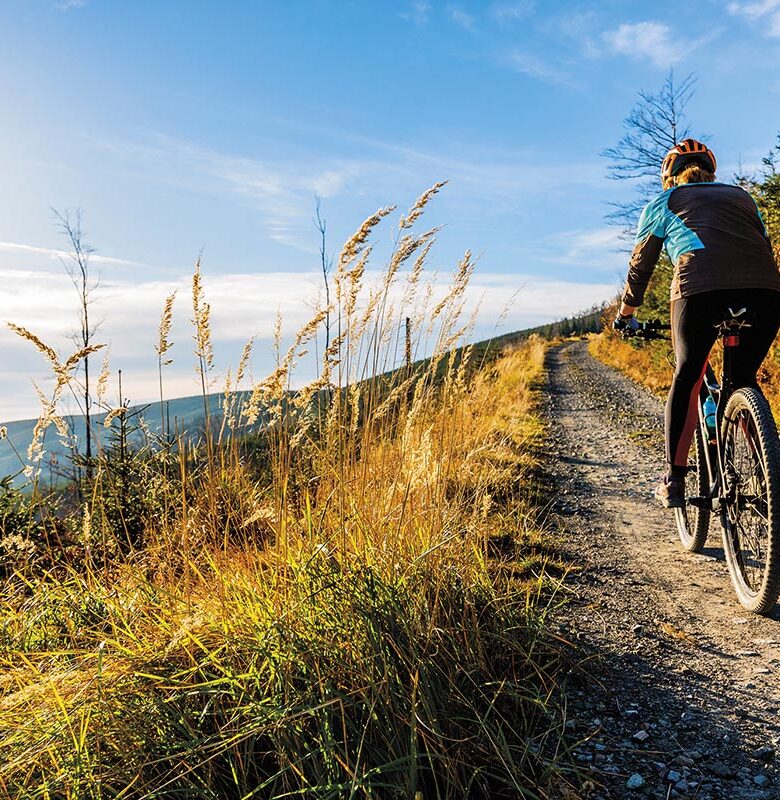 Mountain biking woman riding on bike in summer mountains forest