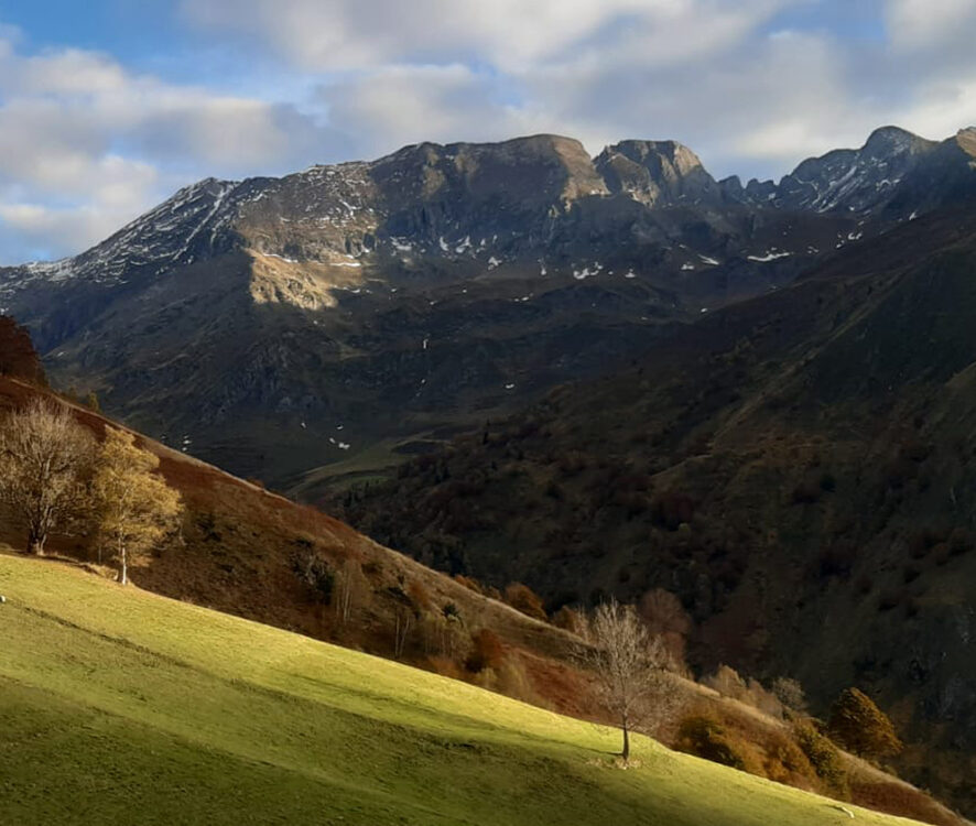 P24 311 COL DE COUME 01