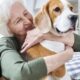 Happy granny loving her dog